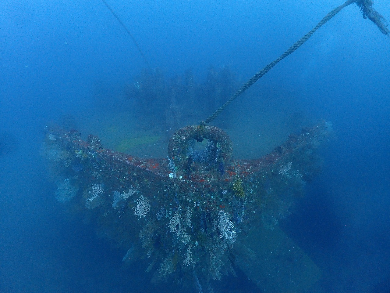 熱海の沈没船