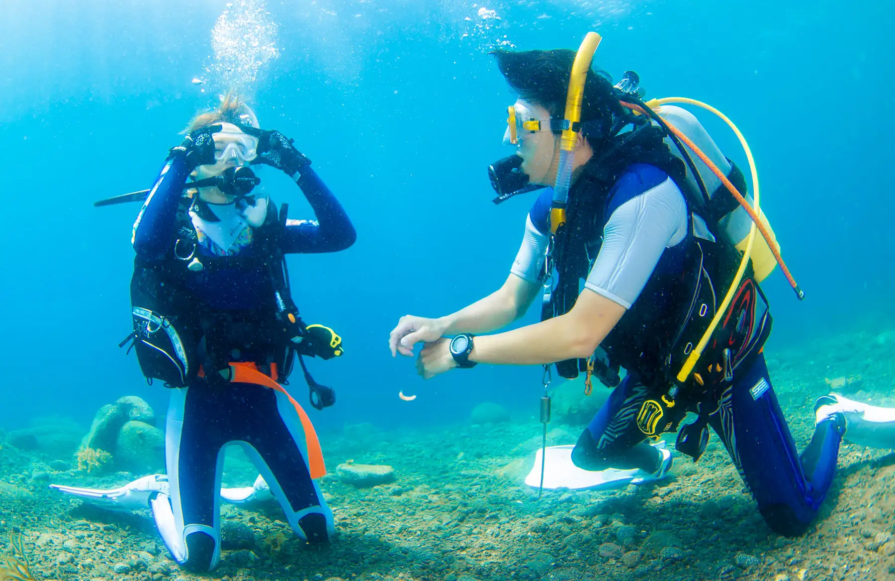 海洋実習の様子