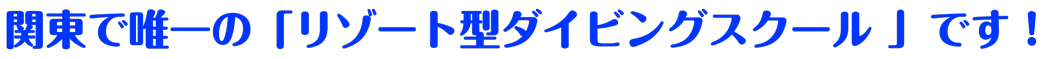 関東唯一のリゾート方ダイビングスクール