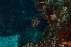 P1175597