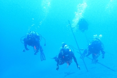 P1261116