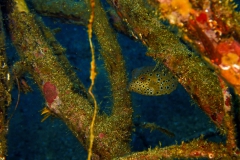 P1261233