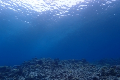 P3070488