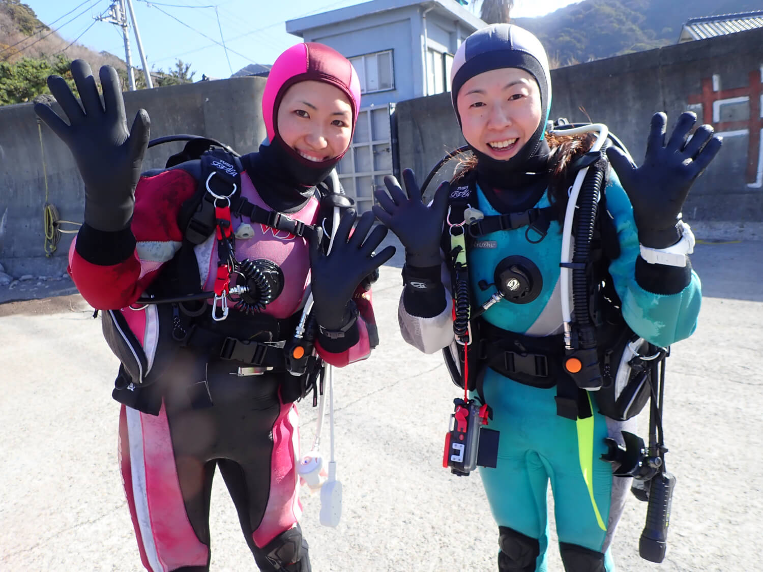 西伊豆 井田ツアー 開催 19年1月24日 木 のスキューバダイビングの様子を大公開