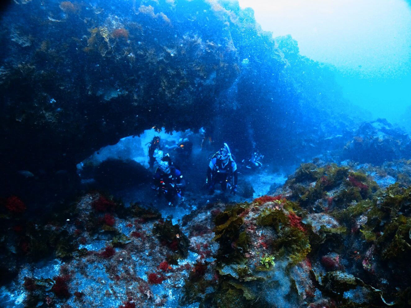 伊豆大島のダイナミックな地形