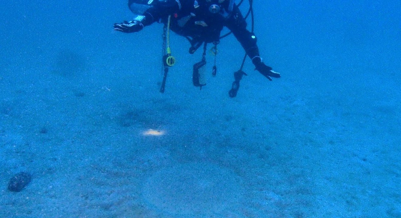 奄美大島のミステリーサークルは神秘的です