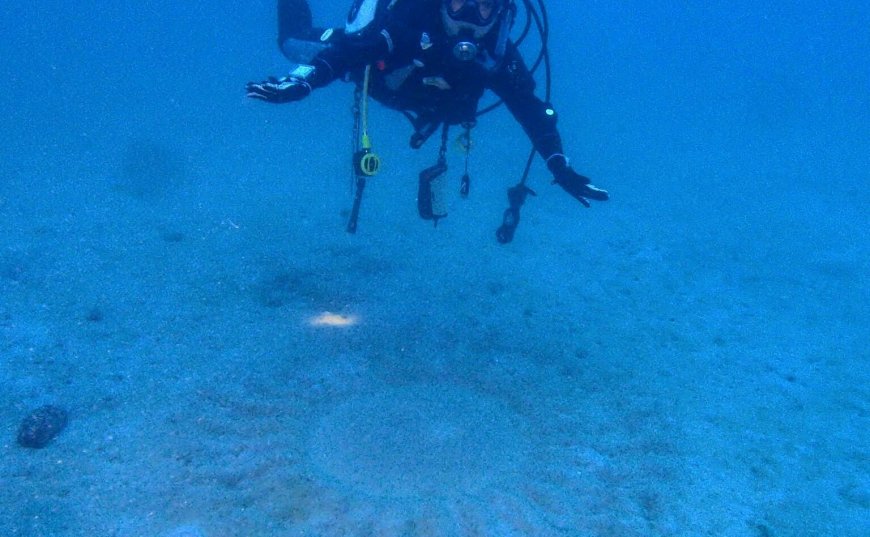 奄美大島のミステリーサークルは神秘的です