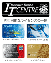 itセンター